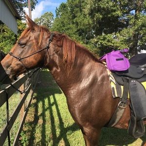 Meet your Posher, Yvonne